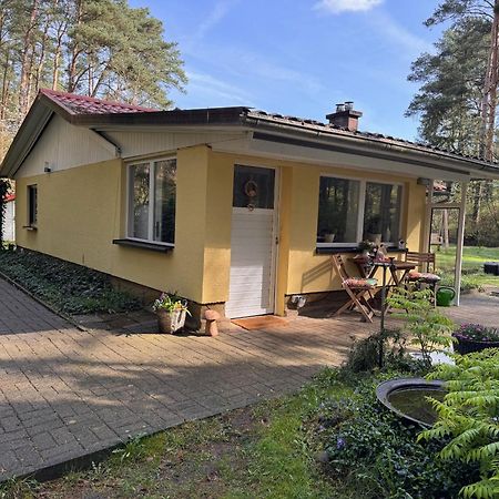 Ferienhaus Im Wald Borkwalde Luaran gambar