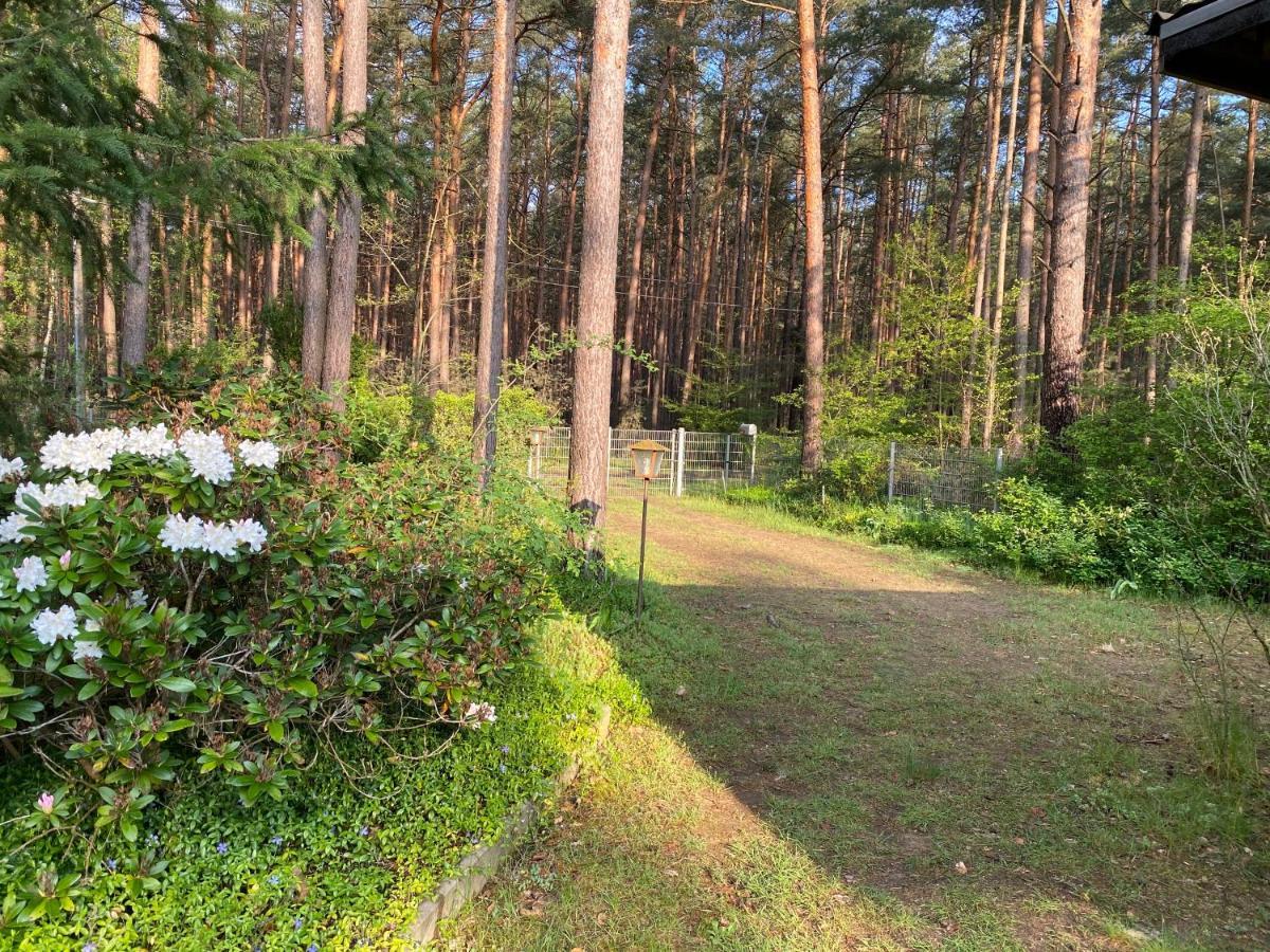 Ferienhaus Im Wald Borkwalde Luaran gambar