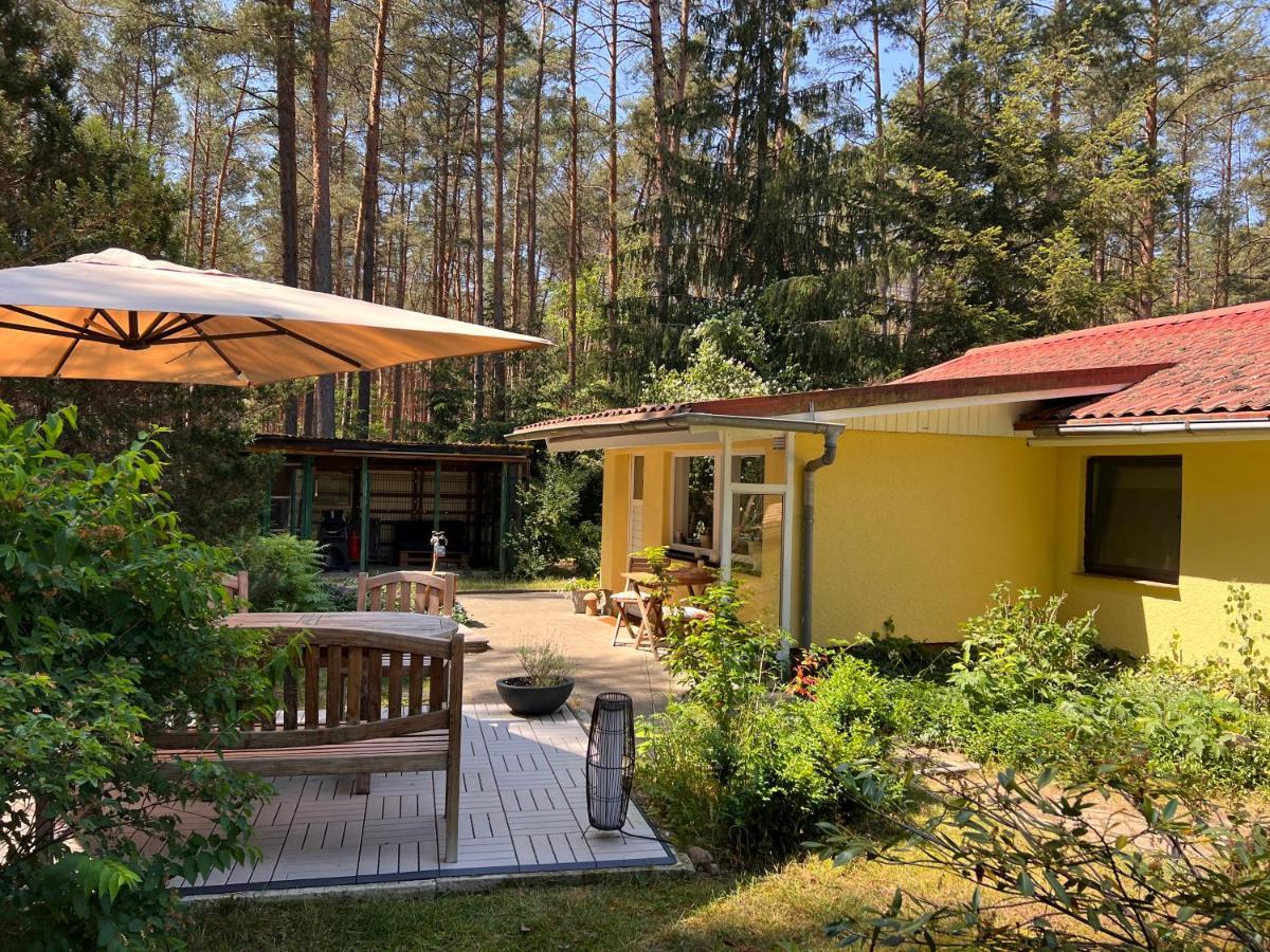 Ferienhaus Im Wald Borkwalde Luaran gambar