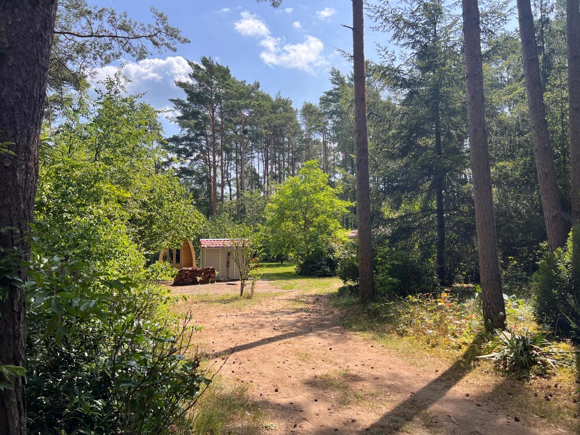 Ferienhaus Im Wald Borkwalde Luaran gambar