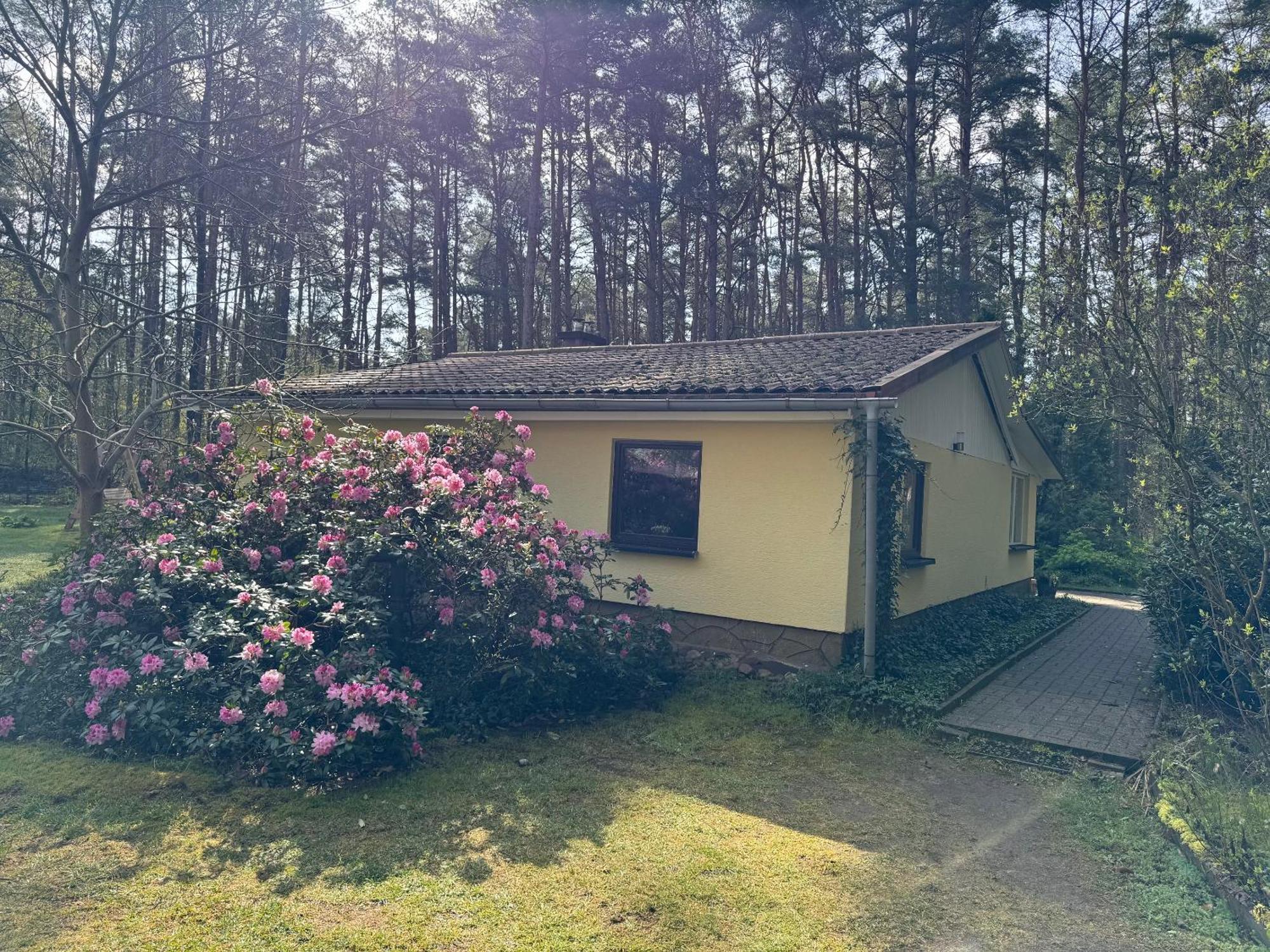 Ferienhaus Im Wald Borkwalde Luaran gambar