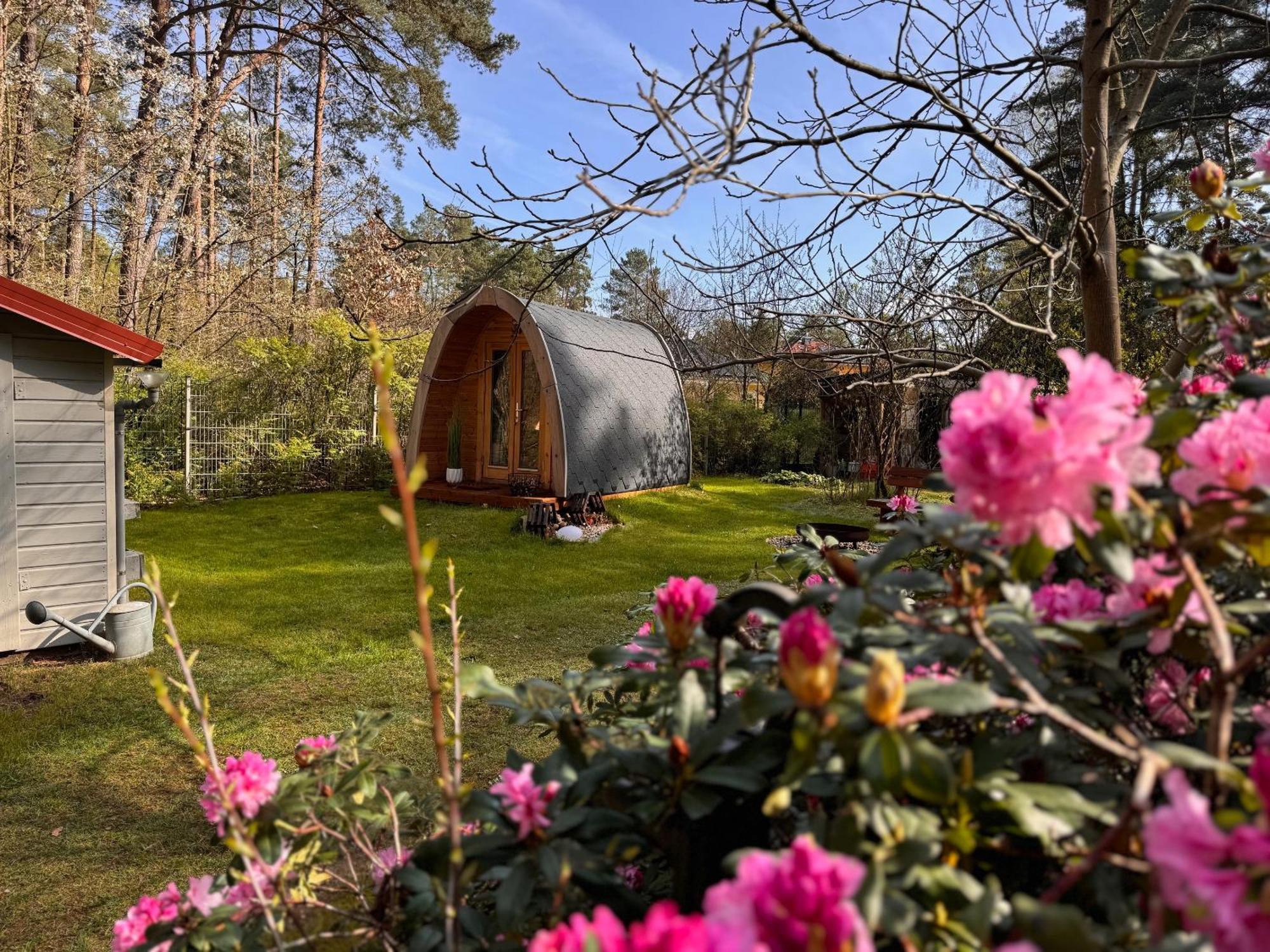 Ferienhaus Im Wald Borkwalde Luaran gambar